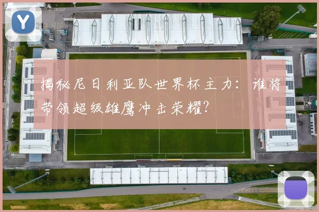 揭秘尼日利亚队世界杯主力：谁将带领超级雄鹰冲击荣耀？