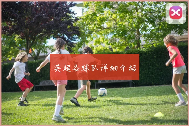 英超各球队详细介绍