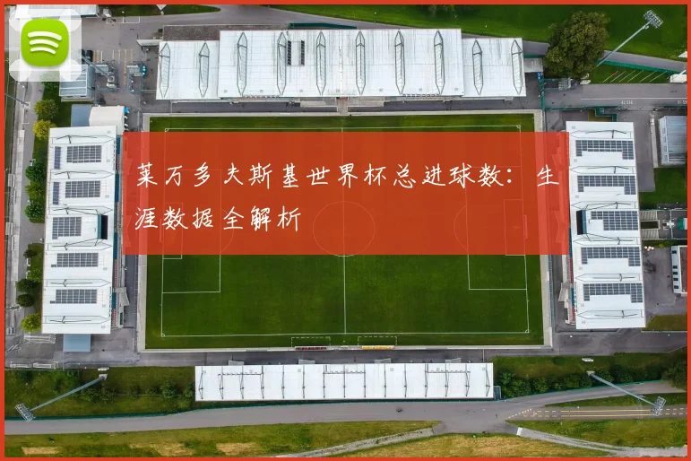 莱万多夫斯基世界杯总进球数：生涯数据全解析